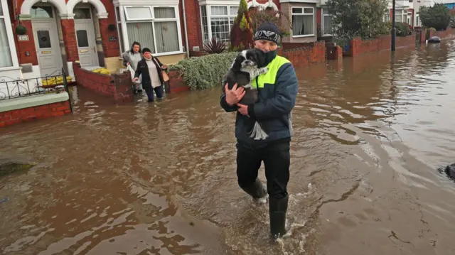 A person rescues a dog from a flooded home