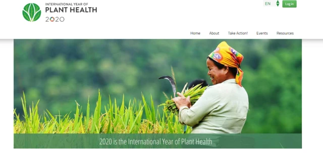 IYPH website