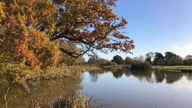 Charlecote