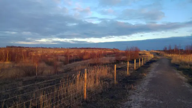 RSPB Fairburn Ings Nature Reserve