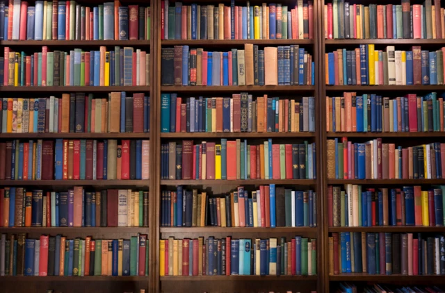 Shelves of books