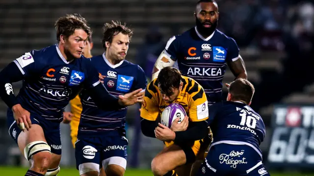 Bordeaux against Wasps