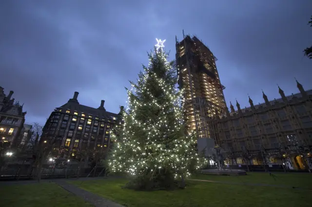 Christmas tree outside parliament