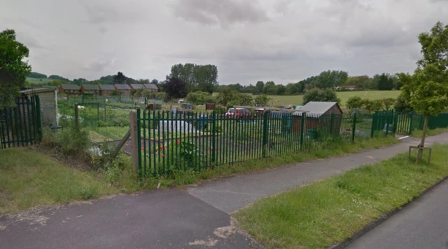 Collyer Road allotment