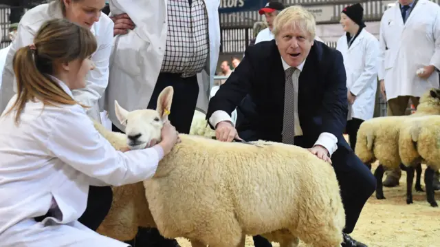 Boris Johnson with a sheep