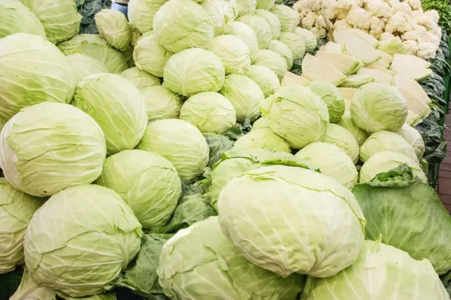 Cabbages