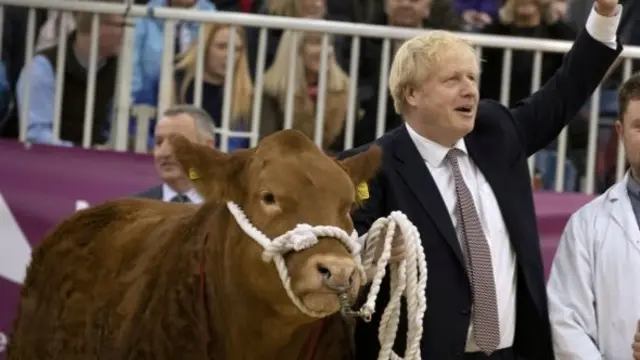 Boris Johnson and a bull