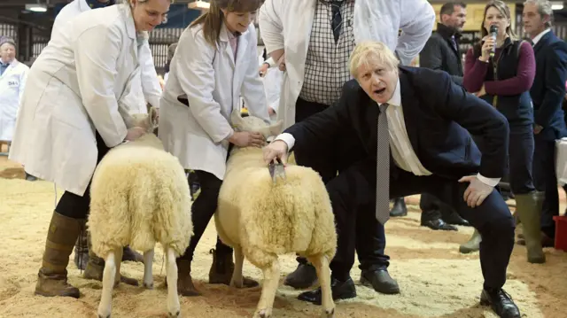 Boris Johnson shears a sheep