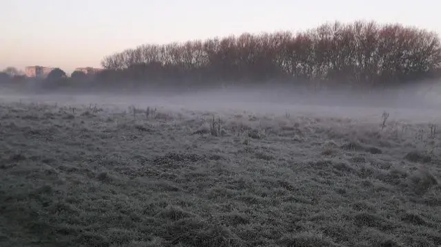 Frozen field