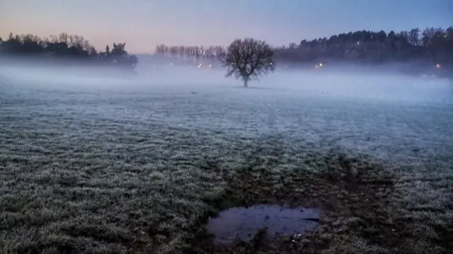 Frozen field