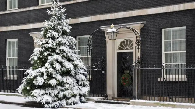 Christmas tree outside No. 10