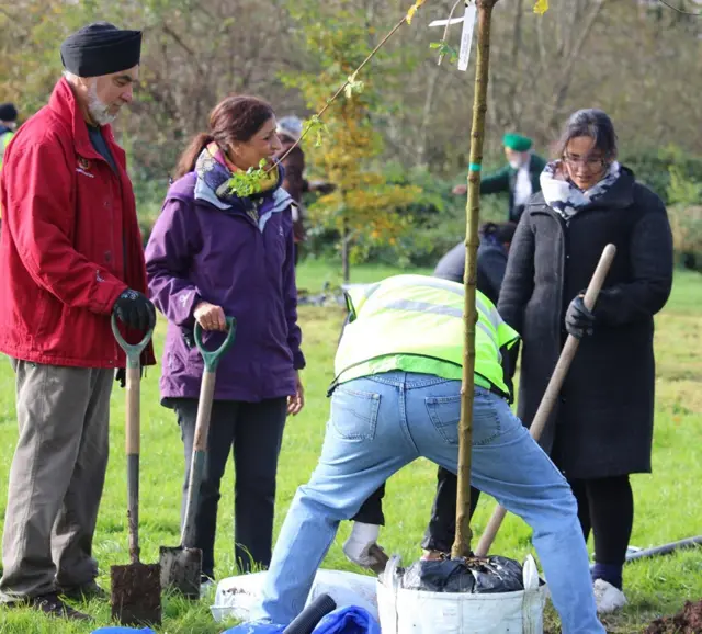 Tree planting