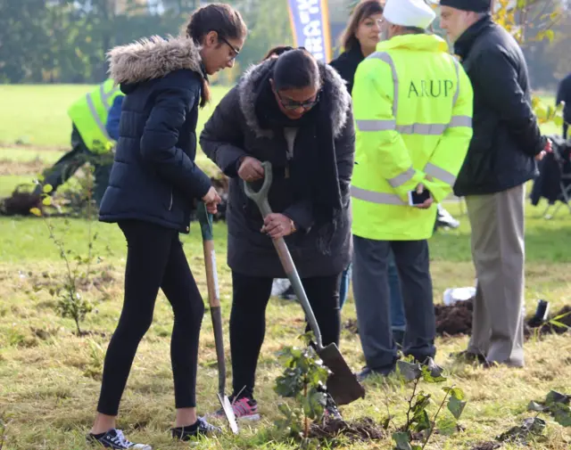 Tree planting