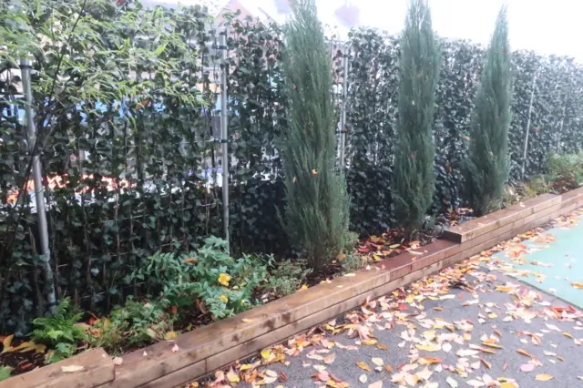 A green wall with plants and trees