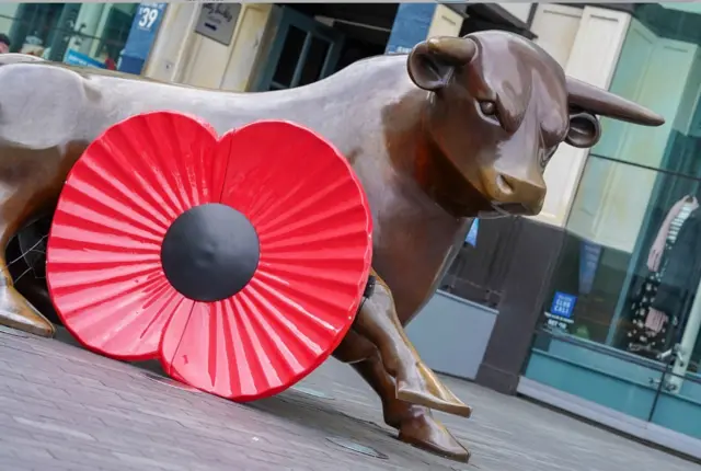 The bull with its poppy