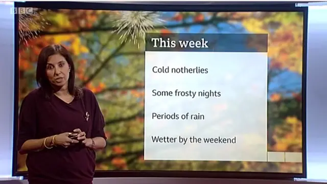 Screen grab of the weather forecast