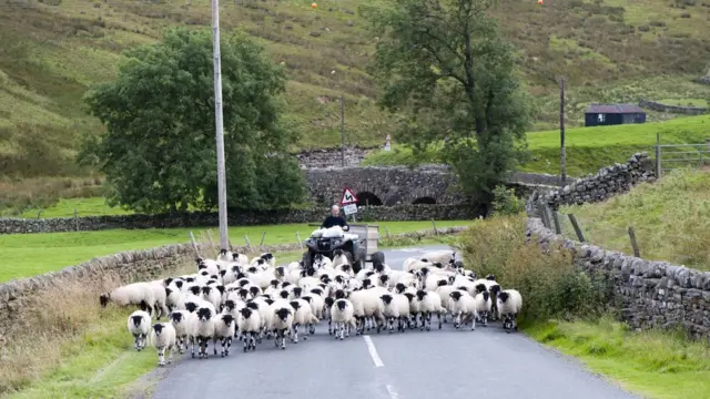 Farmer in Middleton-in-Teesdale