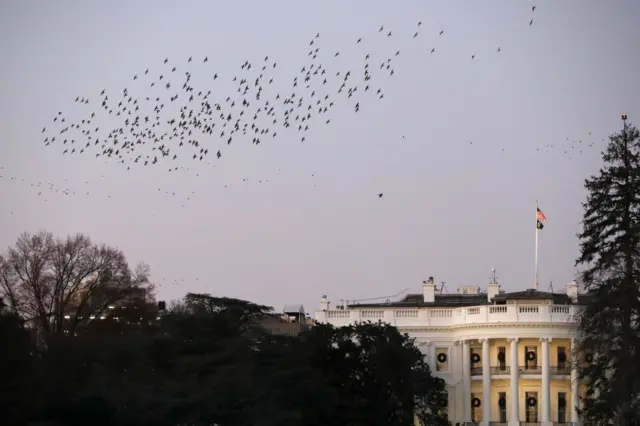 White House