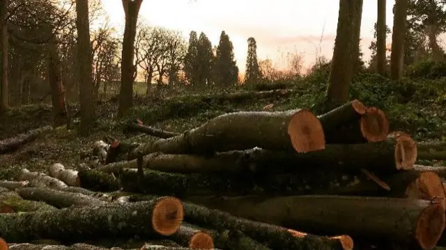 Bromyard logs