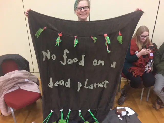 Redcar green candidate