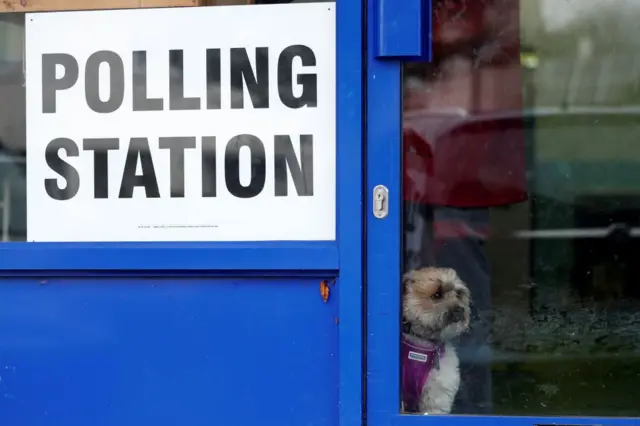 Dog at polling station