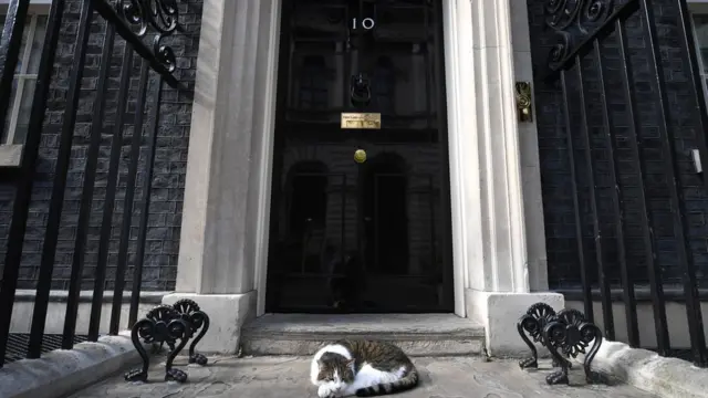 Downing Street