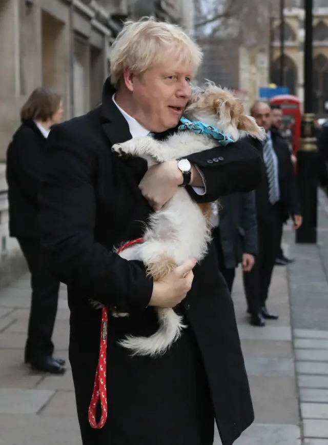 Prime Minister Boris Johnson casts his vote in Westminster