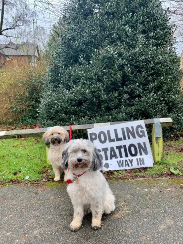 Pip (right) and Annie (left) vote with their, BBC health corrrespondent Nick Triggle