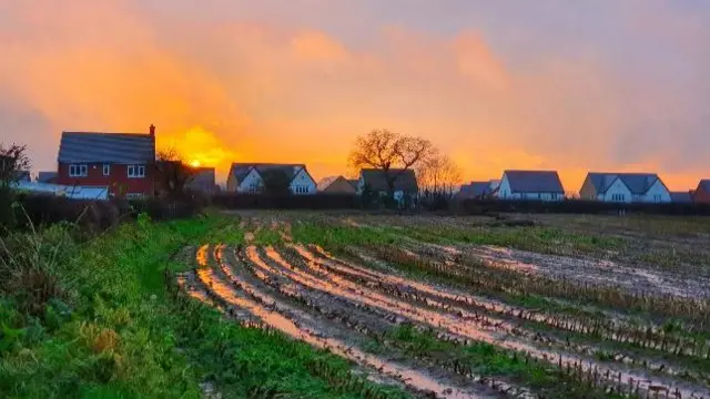 Gnosall