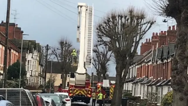 The falcon being rescued