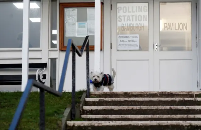 Dog is pictured outside a polling station in Northumberland