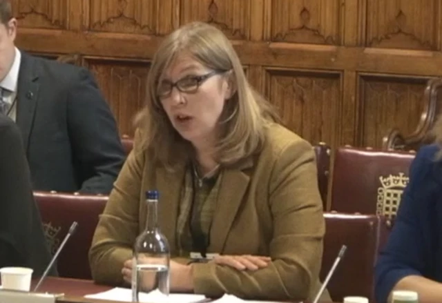 Gill Haigh in commons committee