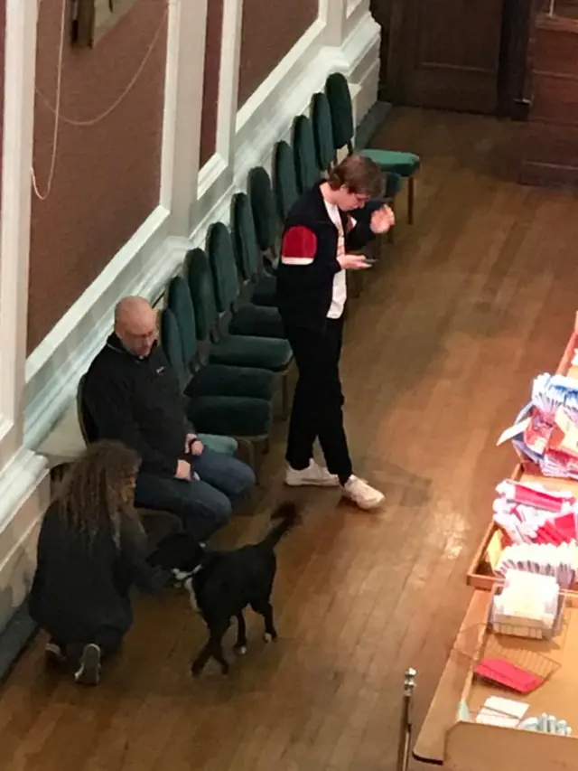 Dog at Cambridge count