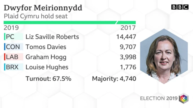 Dwyfor Merionnydd results 2019