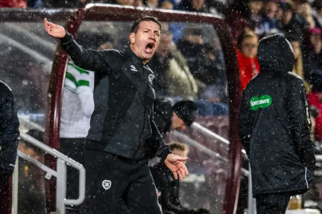 Hearts manager Daniel Stendel