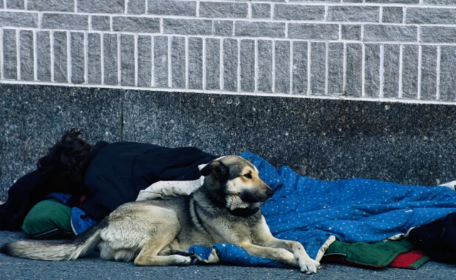 Homeless person with dog