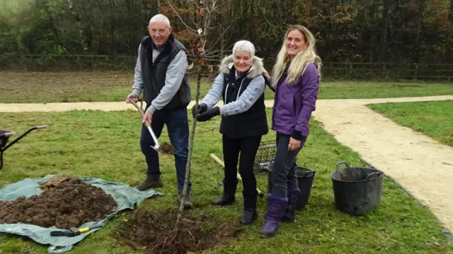 Three people planting a tree