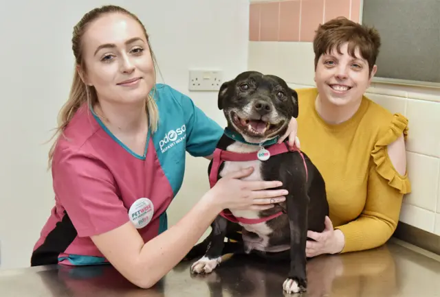 Pollr Bloor, right, with PDSA vet assistant Libby and Marley the dog