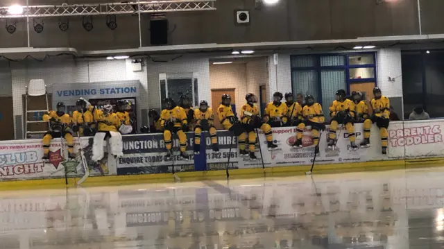 Sutton Sting ice hockey team