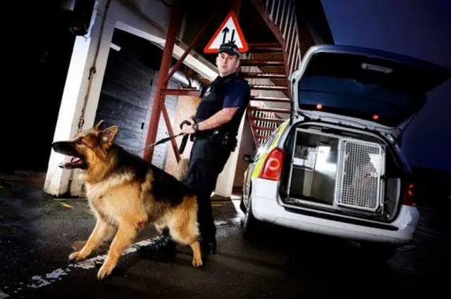 Police dog