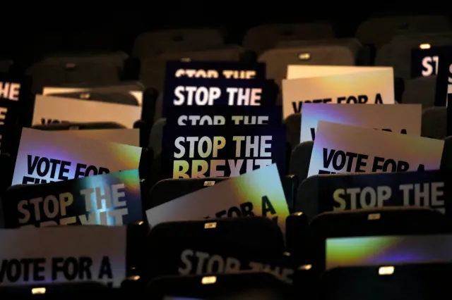 Anti-Brexit placards at the Final Say rally