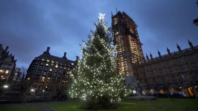 Christmas tree outside Westminster