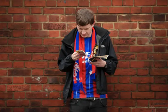 Crystal Palace fan