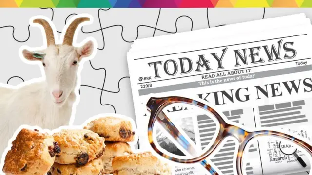 Goat, scones, glasses and a newspaper