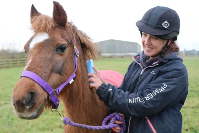 Bransby Horses Rescue and Welfare