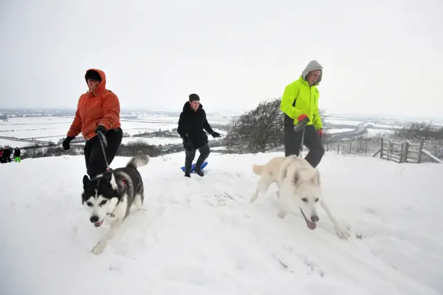 Dog walkers on the Chilterns