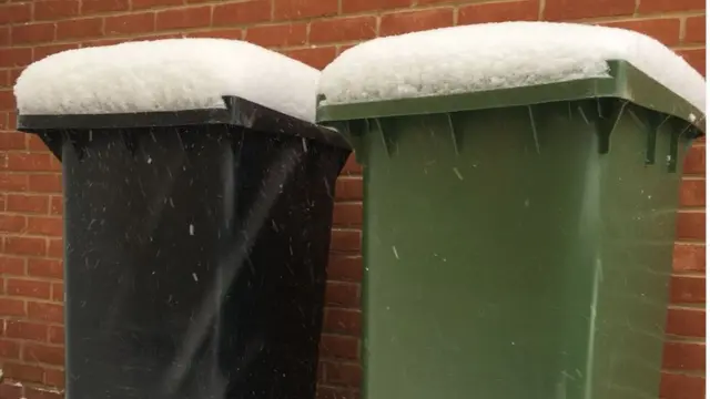 bins in snow