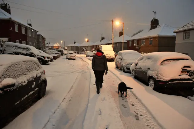 A dog owner walks in the snow in Bristol