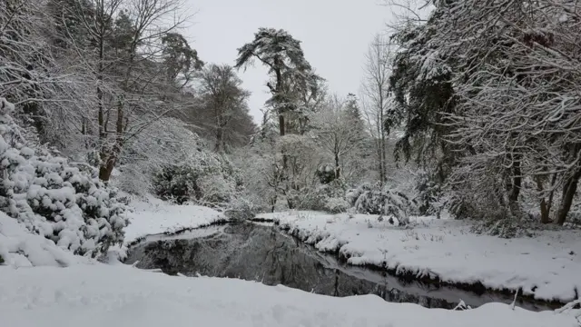 River Cerne, Minterne Gardens