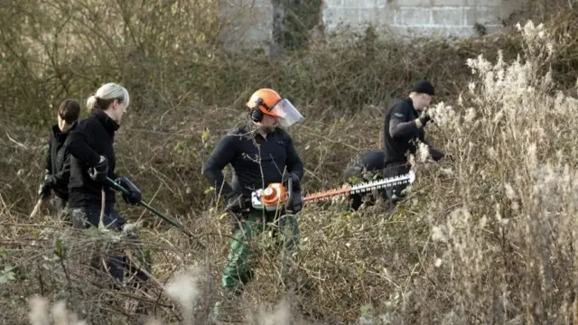 Search teams cutting past overgrowth